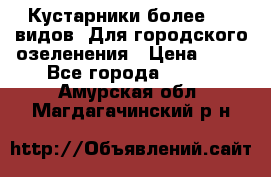 Кустарники более 100 видов. Для городского озеленения › Цена ­ 70 - Все города  »    . Амурская обл.,Магдагачинский р-н